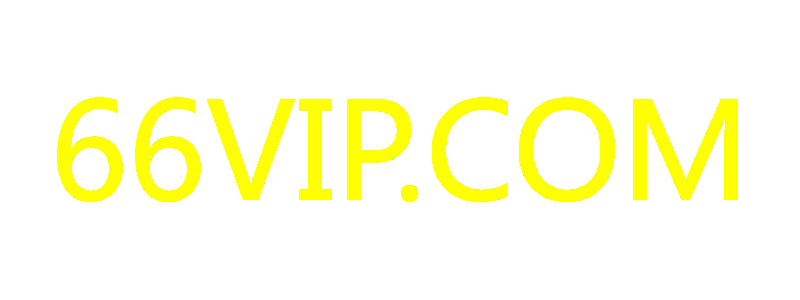 66VIP.COM