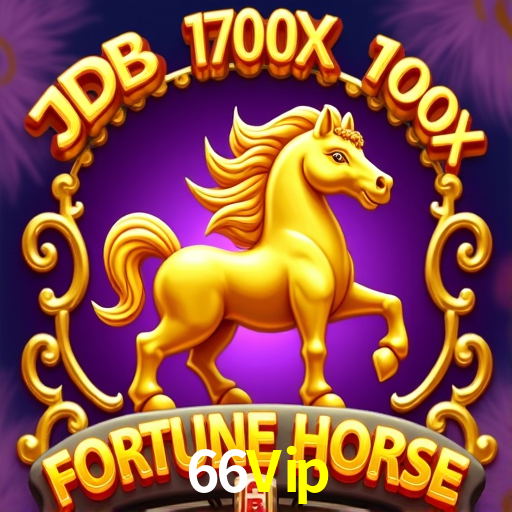 Bonus Features 66Vip